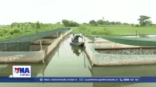 Nông dân Ninh Bình đổi mới cách làm nâng cao hiệu quả kinh tế