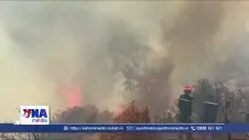 Algeria tuyên bố quốc tang sau hàng loạt vụ cháy rừng