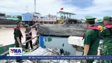Bắt giữ tàu chở hơn 400 tấn phân Urê không rõ nguồn gốc