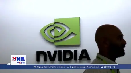 Nvidia tạm dừng chương trình tài trợ 36 tỷ USD