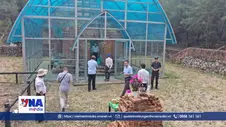 Tháp chăm Phú Diên trước thách thức biến đổi khí hậu