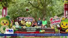 Sức hút của du lịch sầu riêng