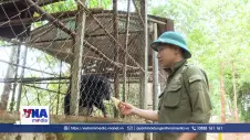 Nơi hồi sinh những động vật quý của rừng