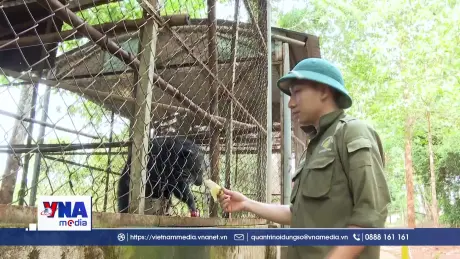 Nơi hồi sinh những động vật quý của rừng