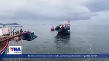 Kịp thời cứu nạn 4 ngư dân bị chìm tàu trong đêm