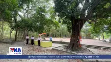 Khu rừng mang tên Bác giữa vùng cát trắng