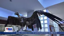 Beni Abbès - Từ bảo tàng đến phòng thí nghiệm của Sahara