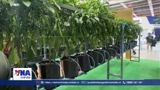 Thúc đẩy an ninh lương thực bằng nông nghiệp thông minh