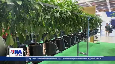 Thúc đẩy an ninh lương thực bằng nông nghiệp thông minh