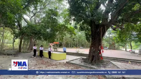 Khu rừng mang tên Bác giữa vùng cát trắng
