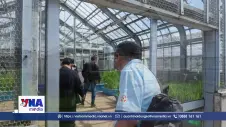 Vun trồng tương lai của hạt gạo trước biến đổi khí hậu