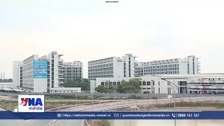 Thể chế mới 