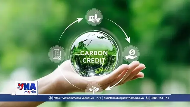 Thị trường carbon trong nước không quy định biên độ dao động giá