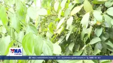Xanh hóa nền kinh tế, mở dư địa tăng trưởng