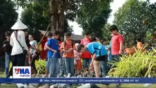 Cần Thơ đón trên 353.200 lượt khách tham quan trong kỳ nghỉ lễ