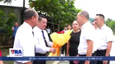 Mở hướng hợp tác từ những cây chè Shan Tuyết cổ thụ vùng biên