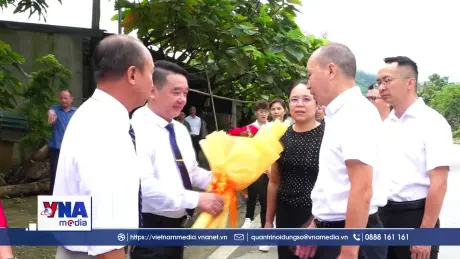 Mở hướng hợp tác từ những cây chè Shan Tuyết cổ thụ vùng biên