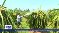 Hơn 49 tỷ USD xuất khẩu nông lâm thủy sản 8 tháng