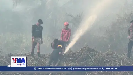 Indonesia tăng cường phòng ngừa cháy rừng