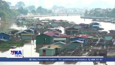 Sẽ giải tỏa gần 2.000 lồng, bè nuôi thủy sản trên sông Đồng Nai