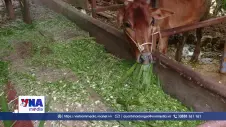 Bộ đội biên phòng giúp dân giảm nghèo bền vững