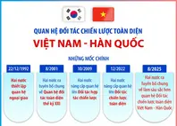 Quan hệ Đối tác chiến lược toàn diện Việt Nam - Hàn Quốc