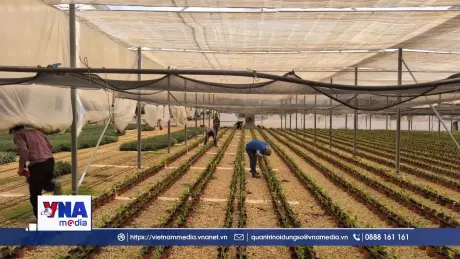 Israel đối mặt bài toán nhà ở cho hàng trăm nghìn lao động nước ngoài