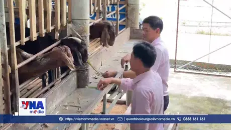 Phát huy hiệu quả nguồn vốn chính sách ở Vĩnh Long