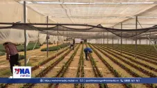 Israel đối mặt bài toán nhà ở cho hàng trăm nghìn lao động nước ngoài