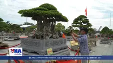 Quảng Ngãi triển lãm giới thiệu sinh vật cảnh độc đáo