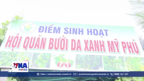 Tăng giá trị sản phẩm nông nghiệp từ mô hình hội quán