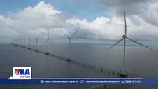 Mở đường hình thành Trung tâm Năng lượng tái tạo