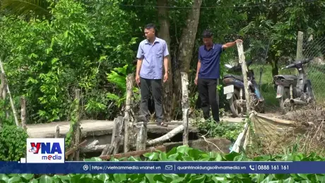 Chủ động ứng phó lũ kết hợp triều cường bảo vệ sản xuất