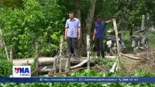 Chủ động ứng phó lũ kết hợp triều cường bảo vệ sản xuất