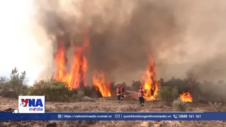 WMO đưa ra cảnh báo về chất lượng không khí