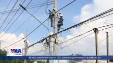  Đồng Nai di dời đường điện phục vụ mở rộng tỉnh lộ 753