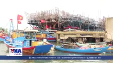 Nơi tránh trú bão và chống khai thác IUU cho hàng nghìn tàu cá