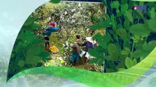 💚Việt Nam xanh & phát triển bền vững  4: Vùng đất cho nông sản bền vững