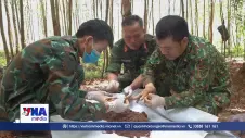 Quảng Trị: Mở rộng khu vực tìm kiếm, quy tập thêm nhiều hài cốt liệt sĩ
