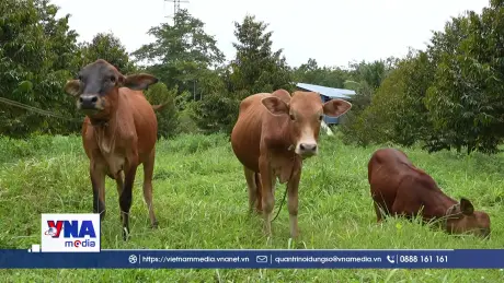 Tiếp sức vùng biên phát triển kinh tế