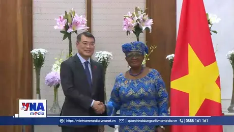 Thủ tướng Chính phủ Lê Minh Hưng tiếp Tổng Giám đốc WTO