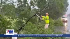 Quảng Trị khắc phục cây xanh gãy đổ, bảo đảm giao thông trên đường tránh lũ