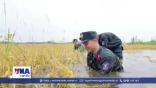 Cảnh sát cơ động giúp dân gặt lúa chạy lũ