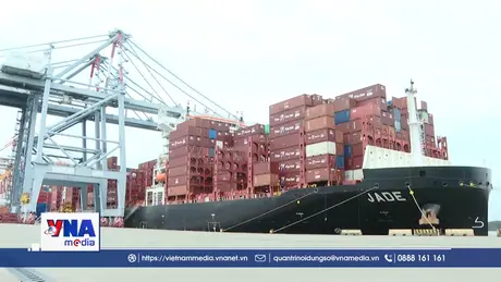 Chu Lai - Khu công nghiệp, logistics, thương mại và dịch vụ biển