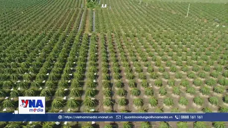 Ngành Nông nghiệp kiên định mục tiêu xuất khẩu trên 74 tỷ USD