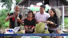 Đưa sầu riêng lên sóng: Bước tiến mới trong tư duy tiêu thụ nông sản