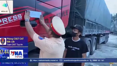 Chưa đủ tuổi được cấp bằng vẫn lái xe đầu kéo