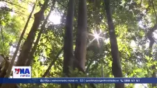 Thanh Hoá bảo tồn và phát triển hệ sinh thái rừng Pù Hu
