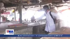 Quảng Trị chủ động phòng, chống dịch bệnh cho đàn vật nuôi sau mưa lũ
