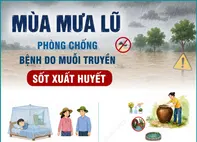 Phòng chống bệnh do muỗi truyền trong mùa mưa lũ